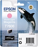 Epson C13T76064010