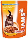 Iams Cat Pouch Adult with Rich in Chicken in Gravy (0.1 кг) 1 шт.