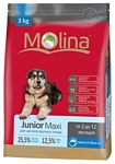 Molina Junior Maxi (15 кг)