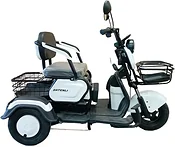 SHTENLI Model 31 литий 60В/20а,25км/ч