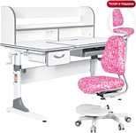 Anatomica Study-120 Lux + надстройка + органайзер + ящик с розовым креслом Ragenta с пузырями (белый/серый)