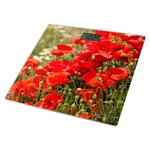 Home Element HE-SC906 Red Poppies
