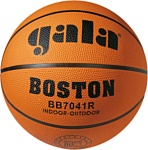 Gala Boston (7 размер)