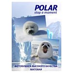 Polar A4K18100 универсальная, 18 делений, A4, 100 г/м2, 100 л