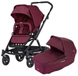 Britax Go Next 2 (2 в 1) (бордовый/черный)