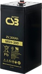 CSB MSV300