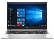 HP ProBook 455 G6 (6EB47EA)