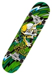 Flip Skateboards Oliveira Blast Green 7.75
