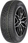 Autogreen Snow Chaser 2 AW08 195/65 R15 91T