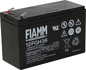 FIAMM 12FGH36