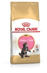 Royal Canin Maine Coon Kitten (14 кг)