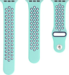 Evolution AW44-SP01 для Apple Watch 42/44 мм (light green/midnight blue) Evolution AW44-SP01 для Apple Watch 42/44 мм (light green/midnight blue)