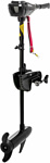 Nisus 36 LBS N-TM-36 Nisus 36 LBS N-TM-36
