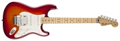 Fender Standard Stratocaster Plus Top with Locking Tremolo