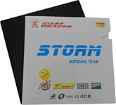 GIANT DRAGON Storm National Team