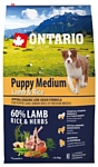 Ontario (6.5 кг) Puppy Medium Lamb & Rice