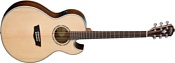 Washburn EA20SNB