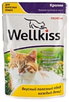 Wellkiss Нежные кусочки кролик для кошек пауч (0.1 кг) 1 шт.