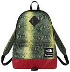 The North Face Snakeskin Lightweight Day green