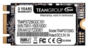 Team Group 256 GB MS30 (TM4PS7256G0C101)