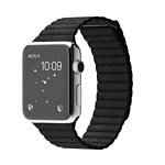 Apple Watch 42mm Stainless Steel with Black Loop (L) (MJYP2)