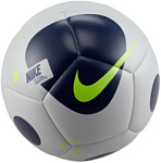 Nike Futsal Maestro DM4153-097 (4 размер, серый/синий)