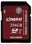 Kingston SDA3/256GB