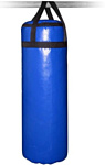 Спортивные мастерские SM-232, 10 кг (синий)