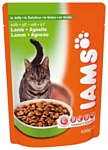 Iams Cat Pouch Adult with Lamb in Jelly (0.1 кг) 22 шт.