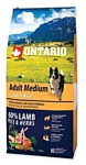 Ontario (12 кг) Adult Medium Lamb & Rice