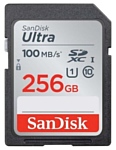 SanDisk SDSDUNR-256G-GN6IN