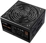 EVGA B5 650W (220-B5-0650-V2)