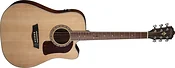 Washburn HD10SCE