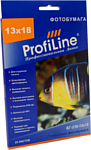 ProfiLine PL-GP-210-13X18-25