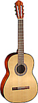 Cort AC-100DX 