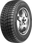 Taurus Winter 601 205/55 R16 91T