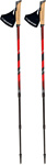 Viking Kube Pro Nordic Walking