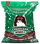 Сибирская кошка Лесной 20л