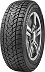 Delinte Winter WD1 225/55 R17 97T