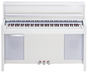 Kurzweil CUP2A