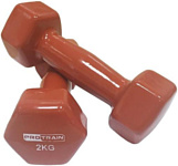 Protrain HC4005-2 2x2 кг