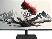 RDW Computers 2401K/F00В3100V2A1H