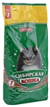 Сибирская кошка Лесной 7л