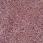 Forbo Marmoleum Real natural amethyst 3231