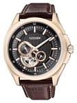 Citizen NP1003-06E