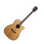 Washburn WD16SCE