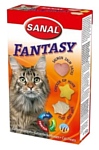 Sanal Fantasy Sanal Fantasy