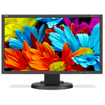 NEC MultiSync E224Wi