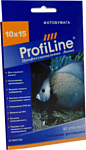 ProfiLine PL-GP-210-10X15-25