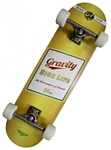 Gravity Skateboards Pool Model High Life